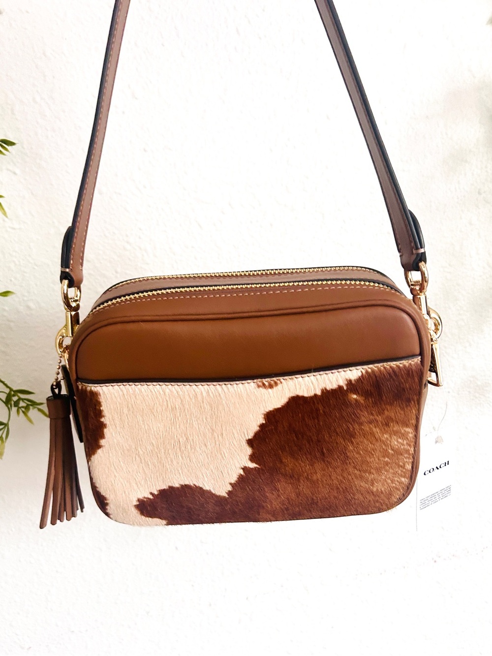 NWT🐮Coach Mini Carey Crossbody Bag
In Haircalf With Cow Print CEK71 Shoulder Bag - Picture 4 of 11